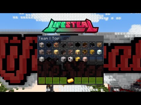 What An Actually Stacked Team Looks Like on Lifesteal.Net