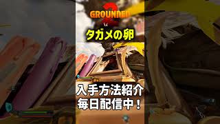 タガメの卵入手方法！【Grounded2】#grounded #grounded2 #ゲーム実況 #パルワールド #マイクラ #タガメ #shorts