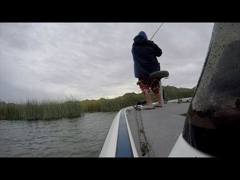 GoPro: Jeff Carpenter - Best Catch 5.29.15 - Fish