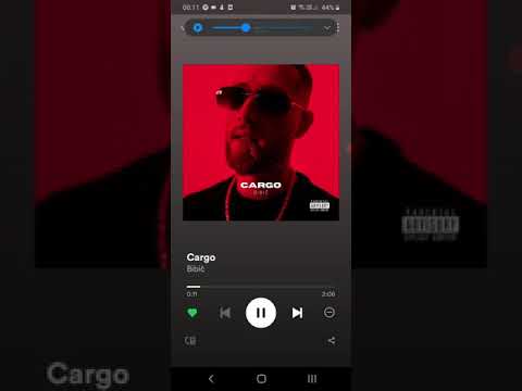 BIBIČ - CARGO