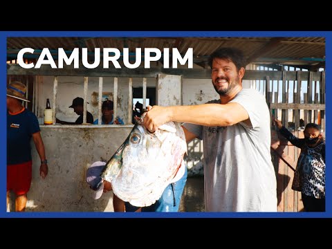 🐠 43 kg PEIXE GIGANTE + 🔥 48 horas de COMILANÇA FEROZ no DELTA DO PARNAÍBA - Piauí | RIO4FUN