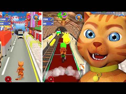 Cat Leo Run - Talking Cat Run Video