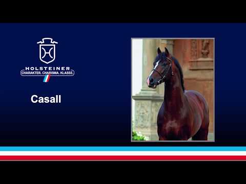 Casall v. Caretino - Lavall I | 2018