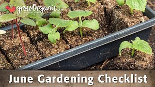 June Gardening Checklist: 19 Tips to Keep Your Organic Garden Healthy in June