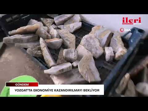 Yozgat'ta ekonomiye kazandırılmayı bekliyor | İleri Gazetesi