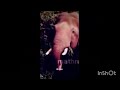 Arikomban Mass Whatsapp Status Kgf
