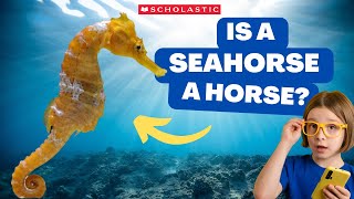 SEAHORSE 🌊 🐴 Facts for Kids | A SEAHORSE Can Lay Hundreds of EGGS 🥚