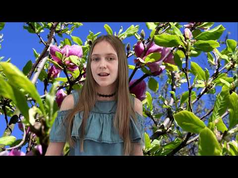 Lech Polak - Kamila Buglewicz - Gołębi song