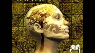 Yggdrasil -  Don't Feed The Toadstools