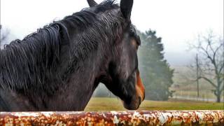 Robert Earl Keen - &quot;Amarillo Highway&quot;