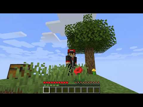 Getting Started In Skyblock! | Minecraft 1.15 Skyblock | No.01