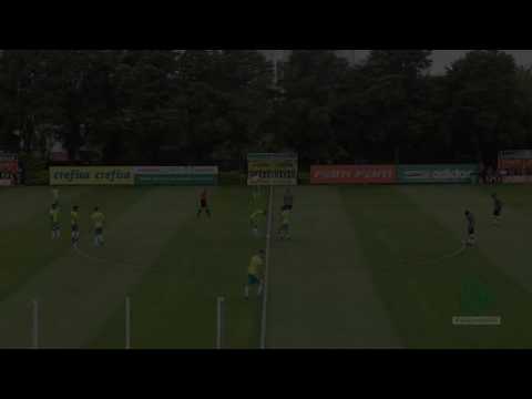 Gols melhores momentos Palmeiras 7x0 Flamengo Guarulhos - jogo treino #Palmeiras