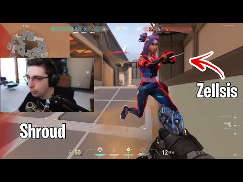 Zellsis tried to pull of a knife kill on SHROUD in 10 man pro match