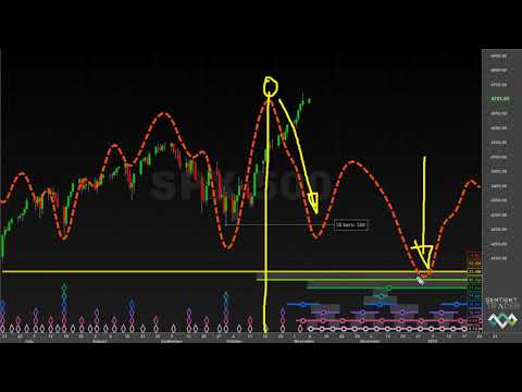 S&P500 - NASDAQ - NIFTY-50  - Hurst Cycles Market Update - 8 November 2021