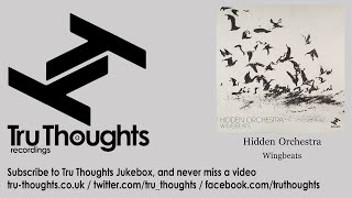 Hidden Orchestra - Wingbeats
