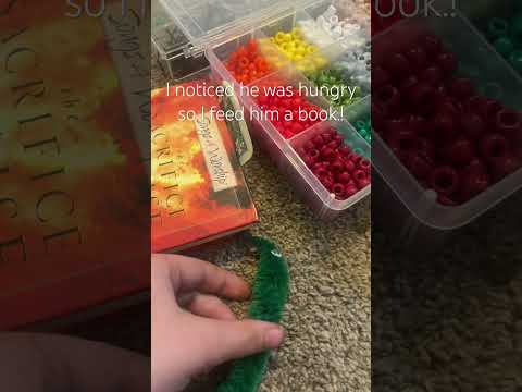 Thumpi - Worms - Misc Originals