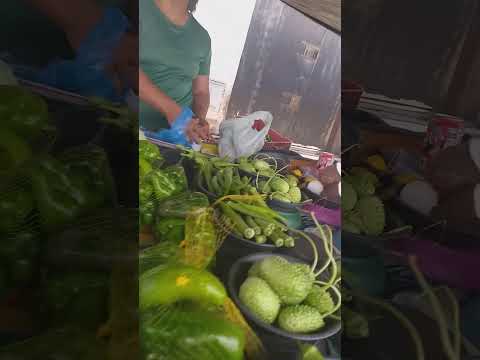 MAXIXE 5 QUIABO 5 FEIRA DA GRANJA PORTUGAL FORTALEZA CE. 08/03/26