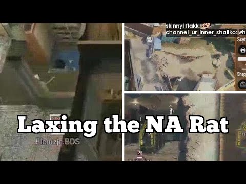 Pro Tom Clancy'S Rainbow Six: Siege Highlights: Laxing the NA Rat