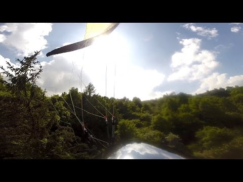 Crash / Tree landing