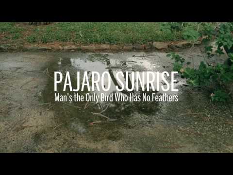 Pajaro Sunrise - Man's the Only Bird Who Has No Feathers