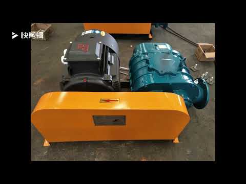 RSR 100 Roots Blower