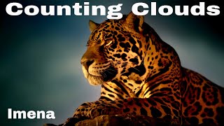 Counting Clouds - Imena