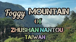 Zhushan Nantou Taiwan, Foggy mountain & Red maple Tree