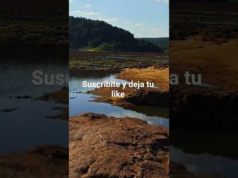 Caraguatay Misiones