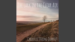 The Lark in the Clear Air