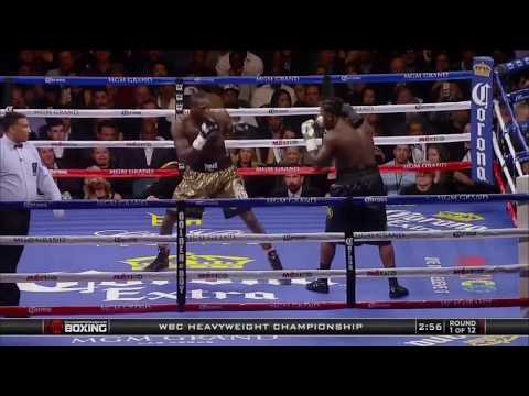 Stiverne vs wilder