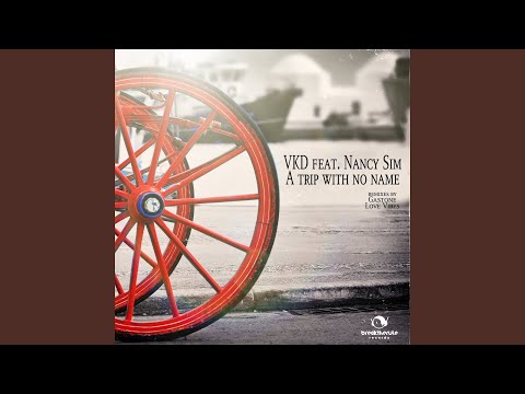 A Trip with No Name (Love Vibes Remix) (feat. Nancy Sim)