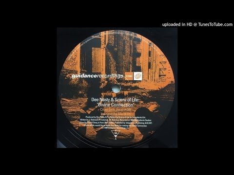 Dee Nasty & Scienz Of Life - Divine Connection (Cross Seas Vocal Version)