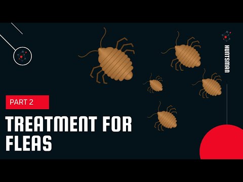 Huntsman Pest Control video.