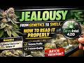 Jealousy:  From Genetics to Shelf, How to Read It Properly