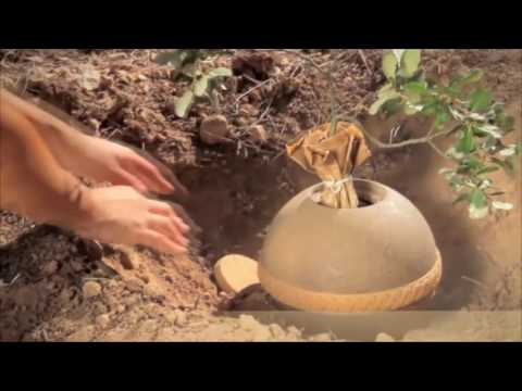 Hay Que Decirlo 10-17-16 (1) -  Una cremacion ecologica.