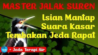 Download lagu Master JALAK SUREN  Tembakan Rapat Kasar    Jeda Terapi Air mp3