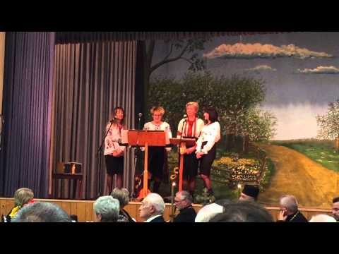 Namysto - Moya Ukraino