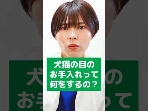 鶏に寄生虫がいるかどうかはどうすればわかりますか?これらは決して無視してはいけない7つの症状です。  庭園