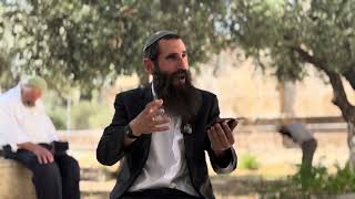 בזכות העולים להר הבית בטהרה השכינה שבה למקום המקדש! תהילים מזמור צ"ט-ק׳ | הרב אחישע וולפסון (ישיבת הר הבית) - התמונה מוצגת ישירות מתוך אתר האינטרנט יוטיוב. זכויות היוצרים בתמונה שייכות ליוצרה. קישור קרדיט למקור התוכן נמצא בתוך דף הסרטון בזכות העולים להר הבית בטהרה השכינה שבה למקום המקדש! תהילים מזמור צ"ט-ק׳ | הרב אחישע וולפסון (ישיבת הר הבית) - התמונה מוצגת ישירות מתוך אתר האינטרנט יוטיוב. זכויות היוצרים בתמונה שייכות ליוצרה. קישור קרדיט למקור התוכן נמצא בתוך דף הסרטון