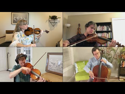 Debussy String Quartet in G Minor Excerpt