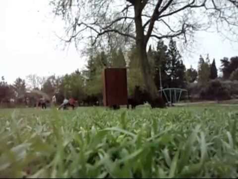 Vlad Zimkovsky, Igor Petrishin, Alex Petrishin : Two Day's Training