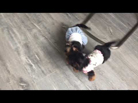 trim 8A79E313 094E 46DB 83B1 22649AC74E13