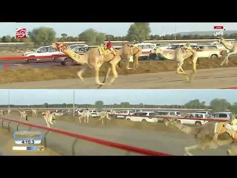 ش 2 بندقية (الدرع) لـ سعيد جابر بن عبدالله محمد 8:46:95 ، ختامي المرموم 2026/03/25 إيذاع