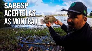 ACHEI AS TILAPIAS DA SABESP !