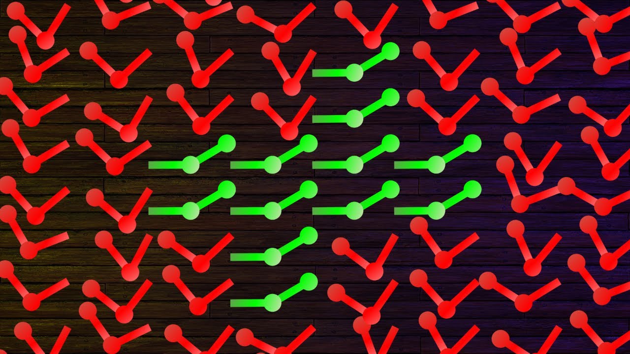 Order Within Chaos in the Double Pendulum (Island of Stability Simulation)