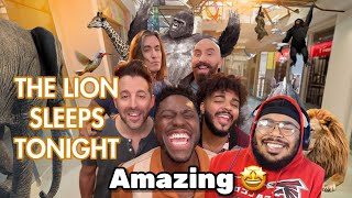 The Lion Sleeps Tonight - VoicePlay ft J.None (acapella) Reaction