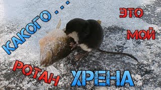Ловля ротана форум