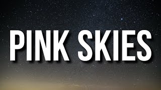 Aryan Julka - Pink Skies (Lyrics)