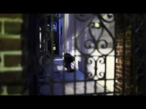 "Another Day" by MORGAN