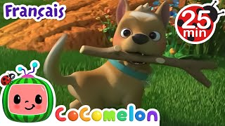 Thumbnail